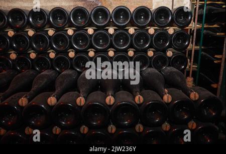 Champagne bottles with stock index card, Ruinart champagne cellar in Reims, France. Stock Photo