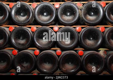 Champagne bottles with stock index card, Ruinart champagne cellar in Reims, France. Stock Photo