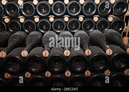 Champagne bottles with stock index card, Ruinart champagne cellar in Reims, France. Stock Photo