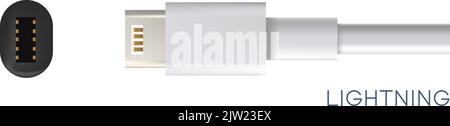 Lightning, type of connectors for gadgets vector Stock Vector