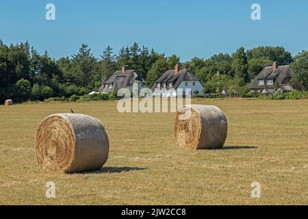 Straw bales, thatched houses, Nieblum, Foehr Island, North Frisia, Schleswig-Holstein, Germany Stock Photo