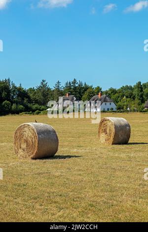 Straw bales, thatched houses, Nieblum, Foehr Island, North Frisia, Schleswig-Holstein, Germany Stock Photo