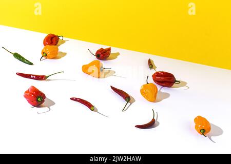 High angle of different types of fresh ripe peppers placed in rows and casting shadows on two colored background Stock Photo