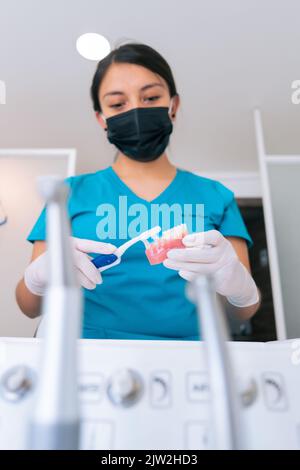 Concentrated young ethnic female dentist in uniform and mask brushing denture with toothbrush during work in modern orthodontic clinic Stock Photo