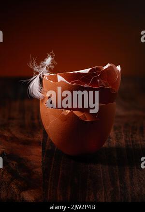 Stack of brown chicken egg shells with white feather on dark wooden table and warm rustic background Stock Photo