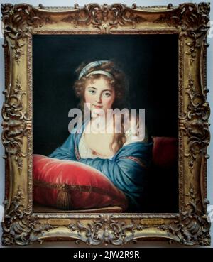 Countess Skavronskaia, oil on Canvas painting by Louise Elisabeth Vigee Le Brun, School of France, Louvre Museum, Paris, France Stock Photo