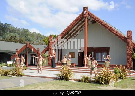 A group of Tamaki Maori dancers perform their traditional ceremony dance, Haka for the benefit of visitors in front of the Wharenui (Maori Meeting hou Stock Photo