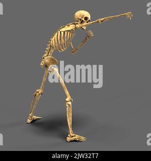 Skeleton boxing, illustration. Human skeleton in a boxing position. Stock Photo