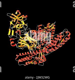 Molecule of tetanus neurotoxin, illustration. This is a neurotoxin protein produced by the bacterium Clostridium tetani, the causative agent of tetanus.