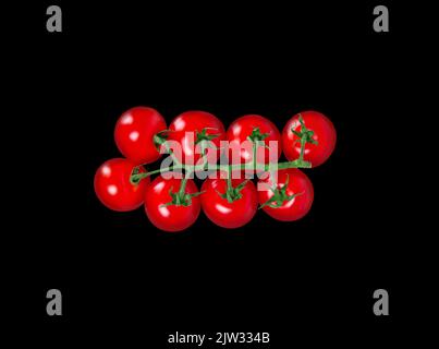 Tomato branch isolated on black background. Top view with clipping path. Stock Photo