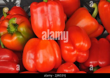 Copenhagen /Denmark/03..September 2022/ High food price in nations grocery store in whole country and  Copenhagen Denmark.   (Photo..Francis  DJoseph n/Dean Pictures. Stock Photo