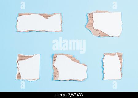 Pieces of white corrugated cardboard with torn edges arranged on light blue background. Top view, copy space Stock Photo