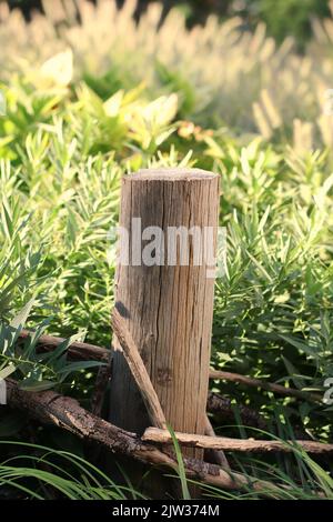 Standard typical wooden fence post standing in the meadow. Stock Photo