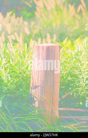 Standard typical wooden fence post standing in the meadow in a faded background. Stock Photo