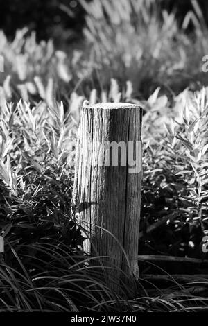 Standard typical wooden fence post standing in the meadow in a black and white monochrome. Stock Photo