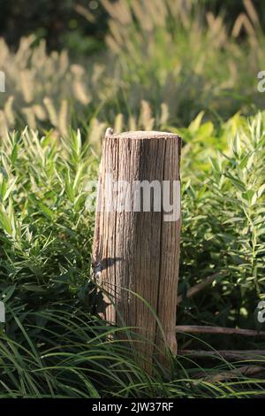 Standard typical wooden fence post standing in the meadow. Stock Photo