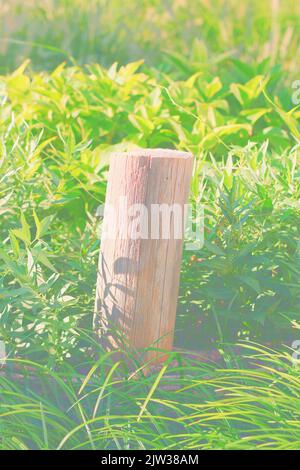 Standard typical wooden fence post standing in the meadow in a faded background. Stock Photo