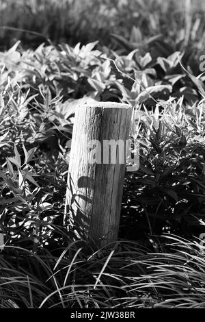 Standard typical wooden fence post standing in the meadow in a black and white monochrome. Stock Photo