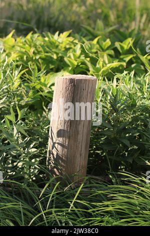 Standard typical wooden fence post standing in the meadow. Stock Photo