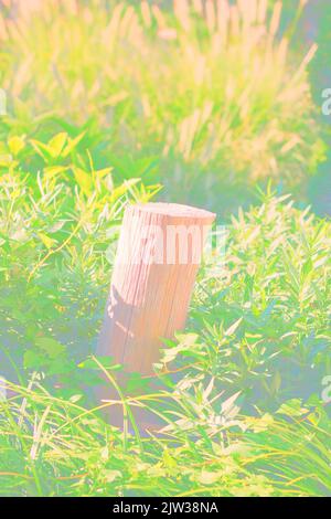 Standard typical wooden fence post standing in the meadow in a faded background. Stock Photo