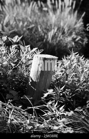 Standard typical wooden fence post standing in the meadow in a black and white monochrome. Stock Photo