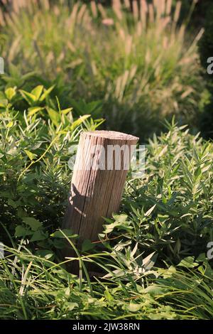 Standard typical wooden fence post standing in the meadow. Stock Photo