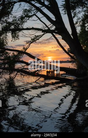 River during the sunset quietly flowing flows through the spring forest Stock Photo