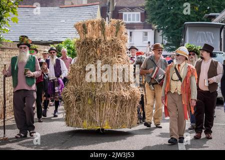 https://l450v.alamy.com/450v/2jw3j53/carshalton-surrey-uk-3rd-september-2022-straw-jack-harvest-celebration-made-from-the-last-straw-in-the-harvest-the-carshalton-jack-is-a-male-figure-paraded-around-the-local-town-and-pubs-during-a-full-days-revelry-involving-drummers-and-musicians-the-origins-of-this-practice-date-back-centuries-when-the-last-of-the-harvest-would-be-deemed-to-contain-the-bad-spirits-of-the-field-they-were-gathered-and-sent-through-the-village-carrying-all-its-troubles-in-effect-cleansing-it-for-the-year-finally-being-burned-to-great-celebration-credit-guy-corbishleyalamy-live-news-2jw3j53.jpg