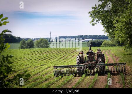 A tractor sits idle on a farm in Kossuth, near Manitowoc, Wisconsin. Stock Photo