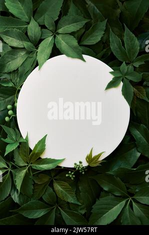 White round mockup for cosmetic product on green leaves vertical background. Stock Photo