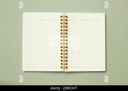 Open note book isolated on green background. top view, copy space Stock Photo