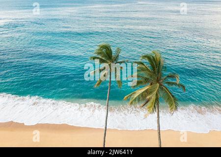 Aerial drone view of the paradise beach with two palm trees, big waves and blue water of Indian ocean. High quality photo