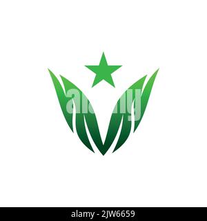 green wing star logo icon vector graphic design Stock Vector