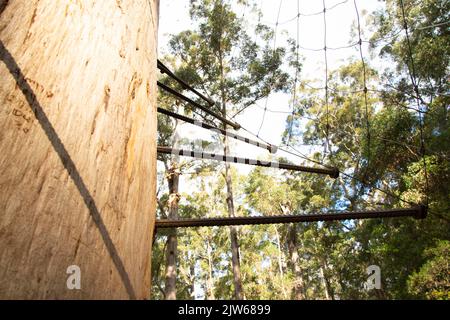 Dave Evans Bicentennial Tree - Western Australia Stock Photo