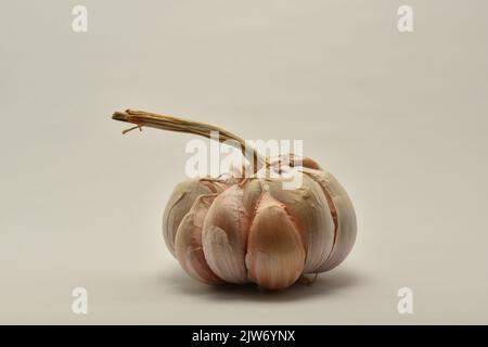 Close up photo of garlic bulbs isolated on white background. Stock Photo