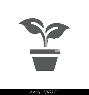 Young plant in a pot vector icon. Potted sprout or seedling with leaves filled symbol. Stock Vector