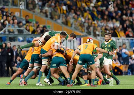 SYDNEY, AUSTRALIA - SEPTEMBER 3: Lodewyk de Jager of South Africa on top of the scrum during The Rugby Championship match between the Australia Wallab Stock Photo