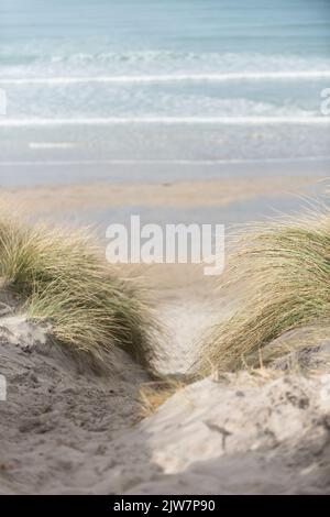Taking the path through the dunes grasses toward to beach of Gwithian Hayle. Stock Photo