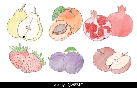 Big set of fruits and berries - hand drawn watercolor illustration ...