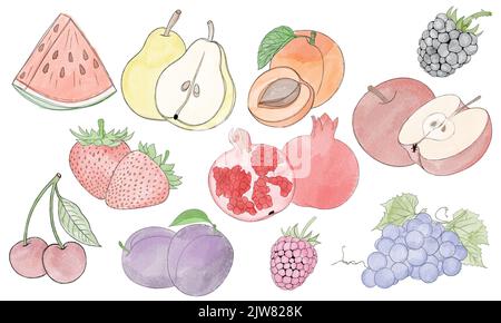 Big set of fruits and berries - hand drawn watercolor illustration ...