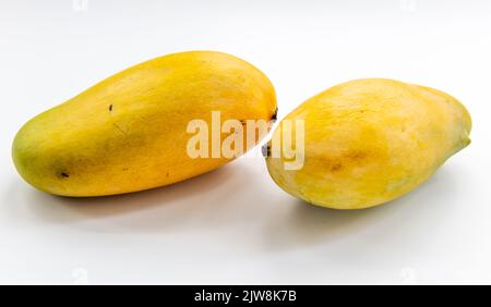 Sweet Egyptian mangos isolated in white background. Stock Photo