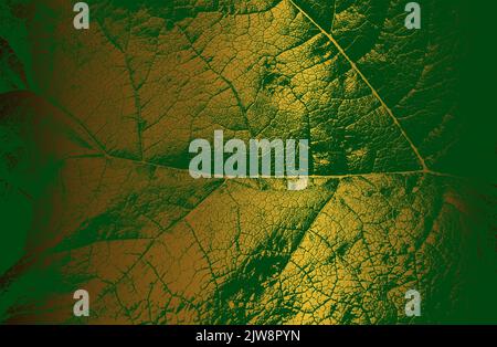 Luxury black metal gradient background with distressed closeup leaf texture with streaks. Vector illustration Stock Vector
