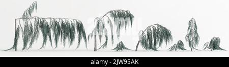 3d illustration of set cedrus atlantica glauca pendula tree isolated on white background Stock Photo