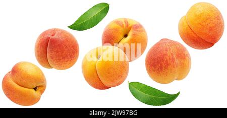 Falling apricots isolated on white background Stock Photo
