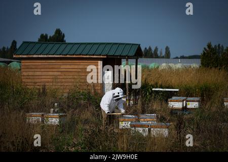 Jorge E. Macias-Samano, a research scientist at Simon Fraser University ...