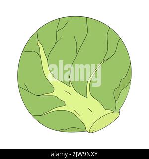 Cartoon brussels sprout. Colorful vegetable. Vector illustration of miniature cabbage isolated on white background Stock Vector