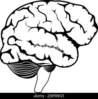 human brain isolated on white background. Black and white icon. side view. Vector poster Stock Vector