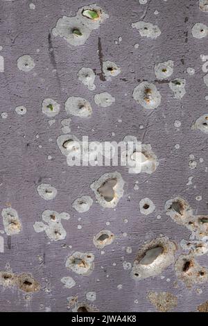 Bullet marks. A fence cut by shrapnel. Iron, pierced by shells. War in Ukraine. Russian aggression. Shooting civilians. Mutilated housing. Stock Photo