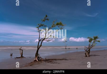 landscape photo of Kuakata sea beach . Stock Photo