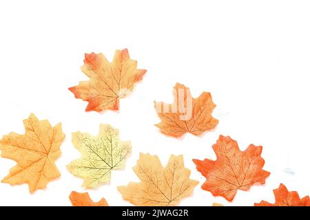 Autumn composition. Dried leaves on white background. Autumn, fall, thanksgiving day concept. Flat lay, top view, copy space Stock Photo